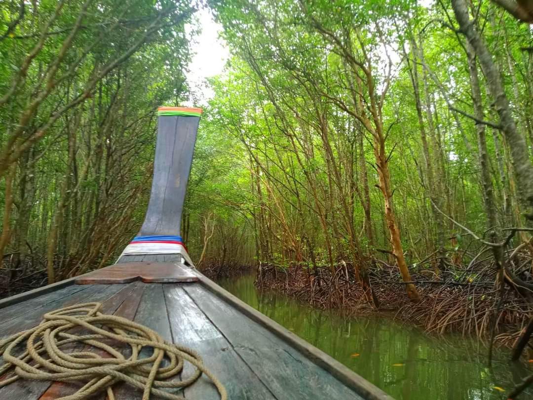 ทัวร์ ถ้ำเขาขนาบน้ำ, อุโมงค์ป่าโกงกาง, ถ้ำเพชร, สี่เกาะ โดย เรือหัวโทงหางยาว