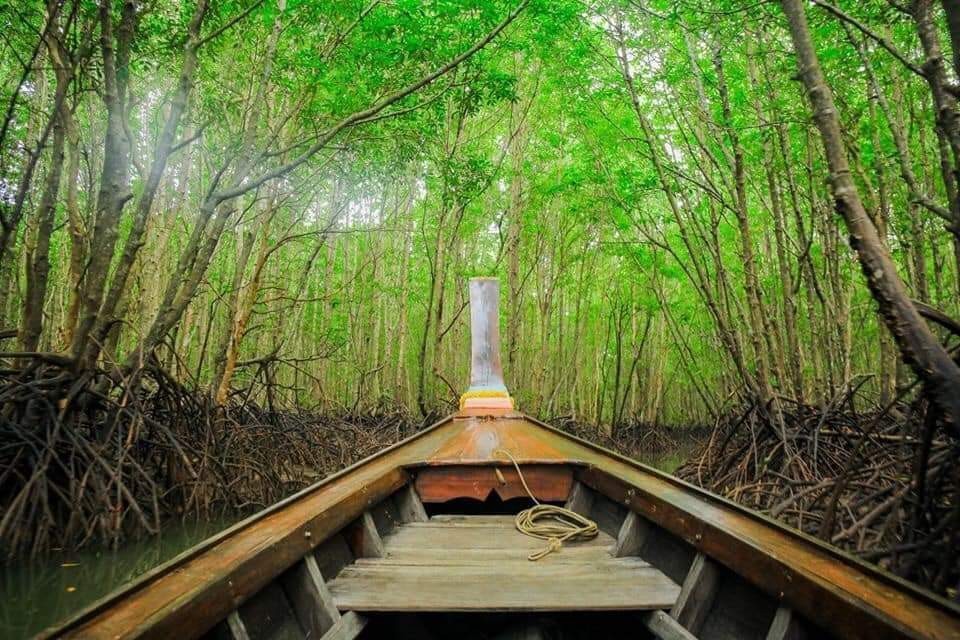 ทัวร์ ถ้ำเขาขนาบน้ำ, อุโมงค์ป่าโกงกาง, ถ้ำเพชร, สี่เกาะ โดย เรือหัวโทงหางยาว