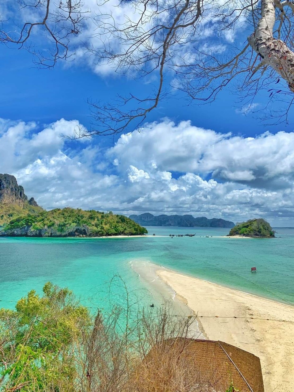 ทัวร์ ถ้ำเขาขนาบน้ำ, อุโมงค์ป่าโกงกาง, ถ้ำเพชร, สี่เกาะ โดย เรือหัวโทงหางยาว